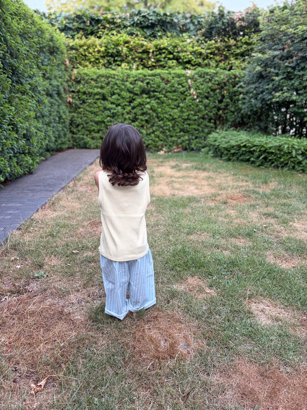 Gestreepte broek - botergeel & blauw